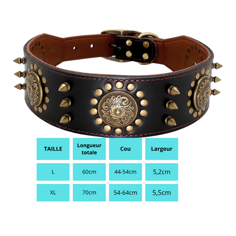 Cesar, collier en cuir véritable de qualité supérieure, large (5cm) et de caractère pour chien de taille moyenne et grande