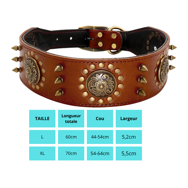 Cesar, collier en cuir véritable de qualité supérieure, large (5cm) et de caractère pour chien de taille moyenne et grande