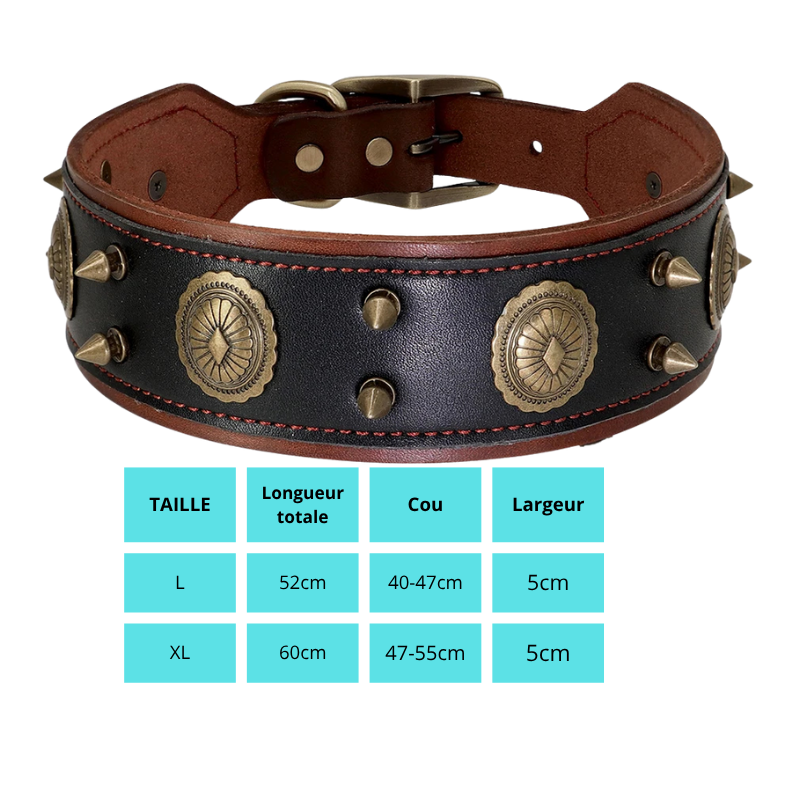 Cesar, collier en cuir véritable de qualité supérieure, large (5cm) et de caractère pour chien de taille moyenne et grande
