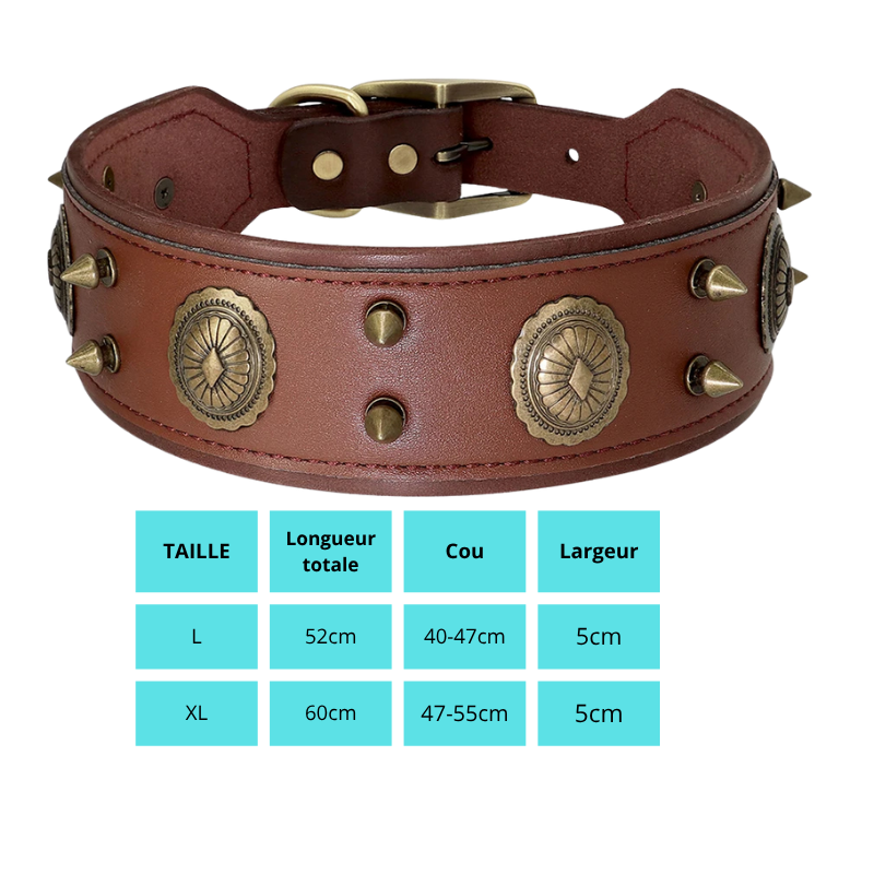 Cesar, collier en cuir véritable de qualité supérieure, large (5cm) et de caractère pour chien de taille moyenne et grande
