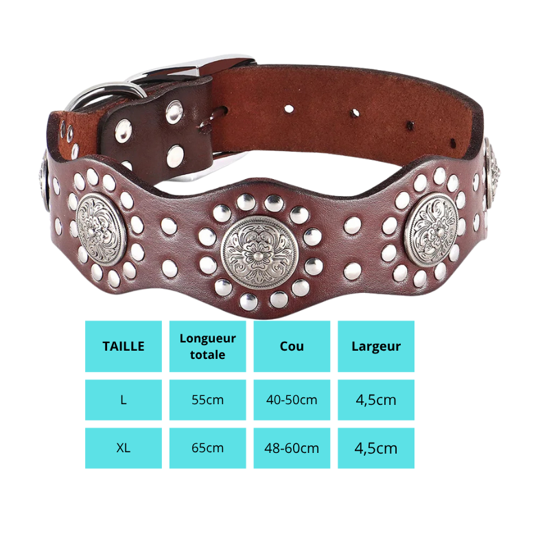 Cesar, collier en cuir véritable de qualité supérieure, large (5cm) et de caractère pour chien de taille moyenne et grande