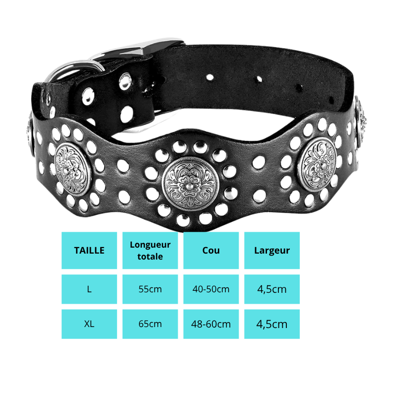 Cesar, collier en cuir véritable de qualité supérieure, large (5cm) et de caractère pour chien de taille moyenne et grande
