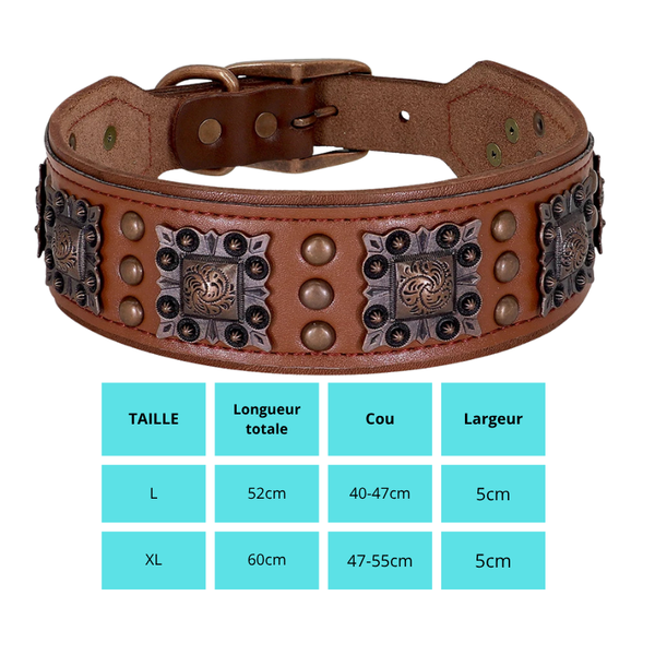 Cesar, collier en cuir véritable de qualité supérieure, large (5cm) et de caractère pour chien de taille moyenne et grande