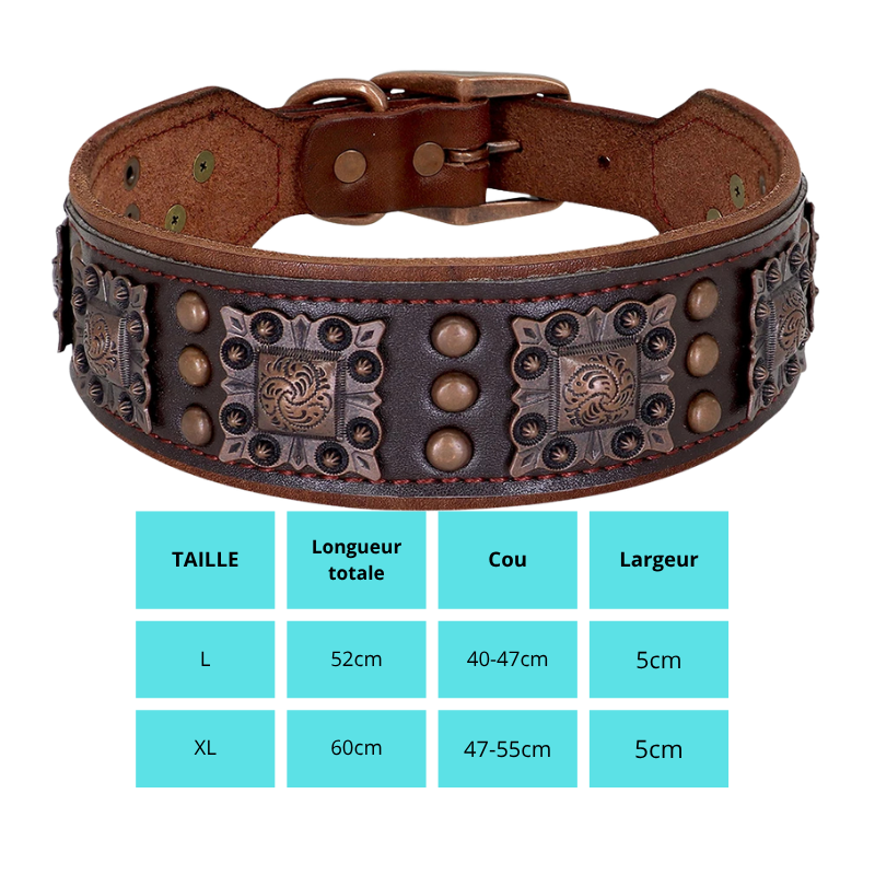 Cesar, collier en cuir véritable de qualité supérieure, large (5cm) et de caractère pour chien de taille moyenne et grande
