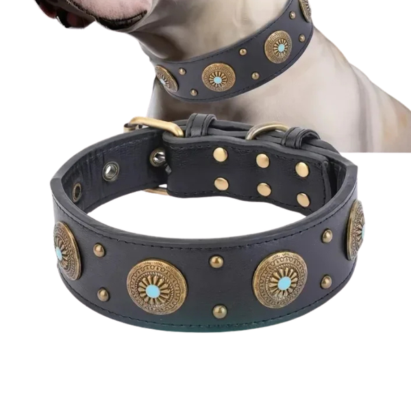 Cesar II, magnifique collier en cuir pour chiens moyens et grands. Largeur du collier 5cm, finitions : boucle trous, décorations en métal.