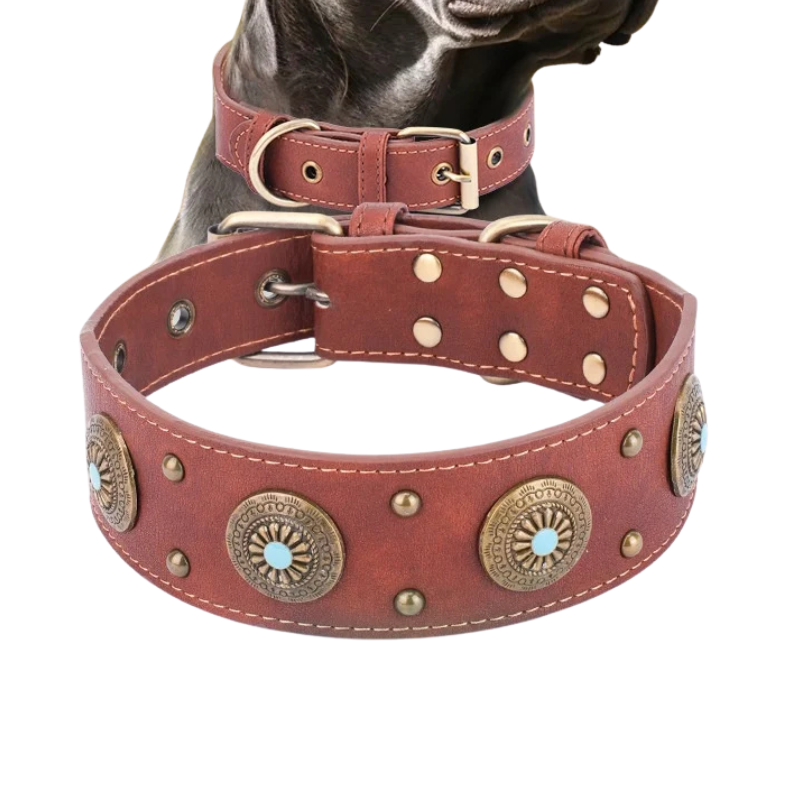 Cesar II, magnifique collier en cuir pour chiens moyens et grands. Largeur du collier 5cm, finitions : boucle trous, décorations en métal.