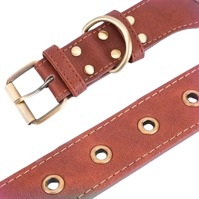 Cesar II, magnifique collier en cuir pour chiens moyens et grands. Largeur du collier 5cm, finitions : boucle trous, décorations en métal.