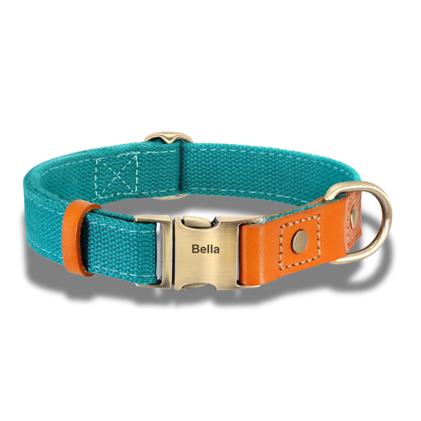 Oscar, collier en cuir et nylon avec la plaque personnalisable. Nous gravons le nom et le numéro de téléphone pour vous.