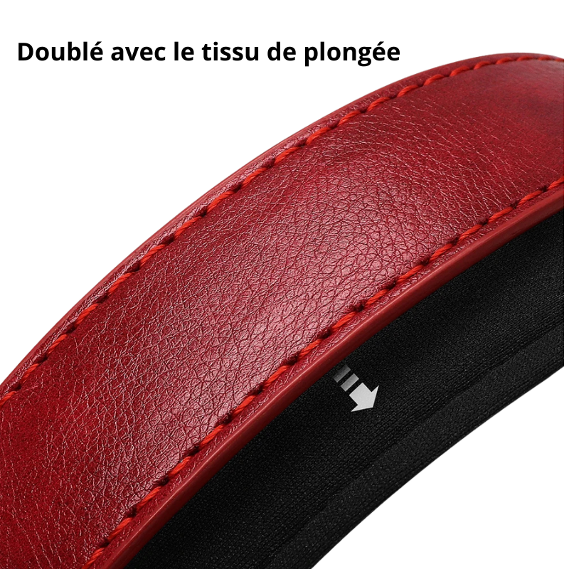 Penny, collier en cuir PU rembourré , doublé du tissu souple, personnalisé avec la plaque d'identification pour chien de petite et moyenne taille.