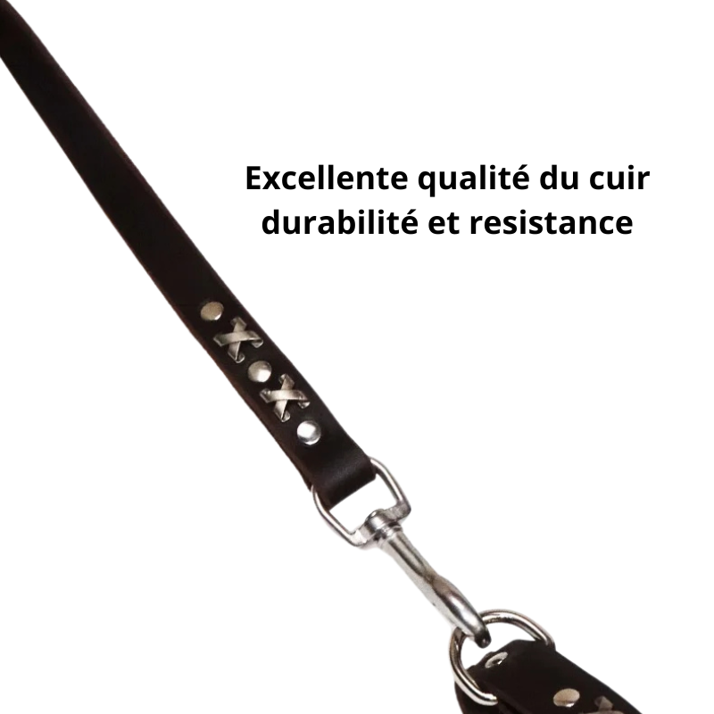 Ambre,  collier et laisse(1,5m) en cuir véritable style retro. Vendu séparément. Fait à la main à partir de cuir de vache supérieure.