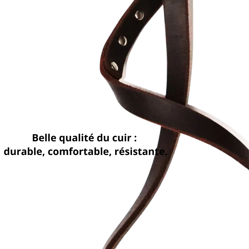 Ambre,  collier et laisse(1,5m) en cuir véritable style retro. Vendu séparément. Fait à la main à partir de cuir de vache supérieure.