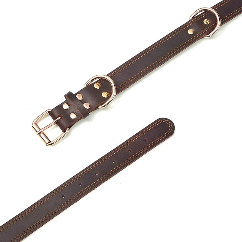 Rex, collier classique pour chien en cuir véritable de belle qualité, robuste traité antirouille