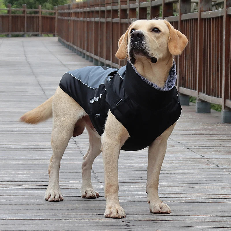 Valmont, veste d'hiver imperméable avec  le col fourrure pour moyen et grand chien
