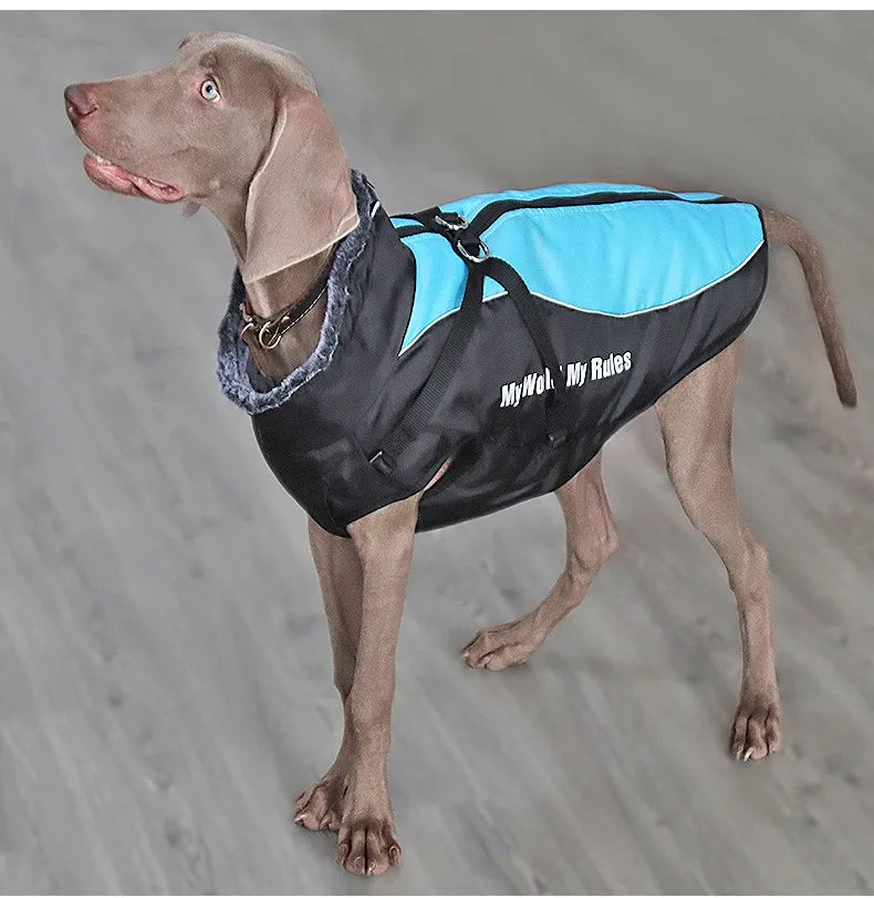 Valmont, veste d'hiver imperméable avec  le col fourrure pour moyen et grand chien