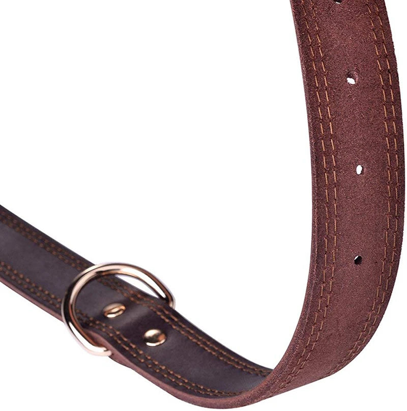 Rex, collier classique pour chien en cuir véritable de belle qualité, robuste traité antirouille