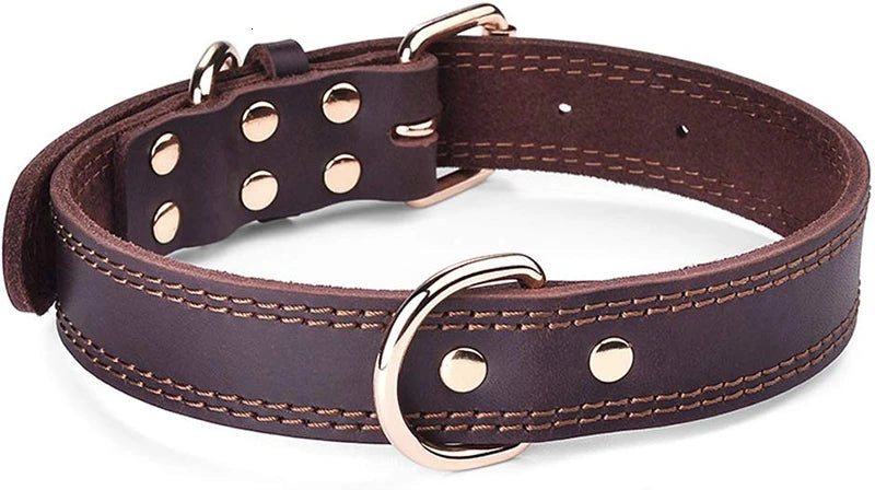 Rex, collier classique pour chien en cuir véritable de belle qualité, robuste traité antirouille