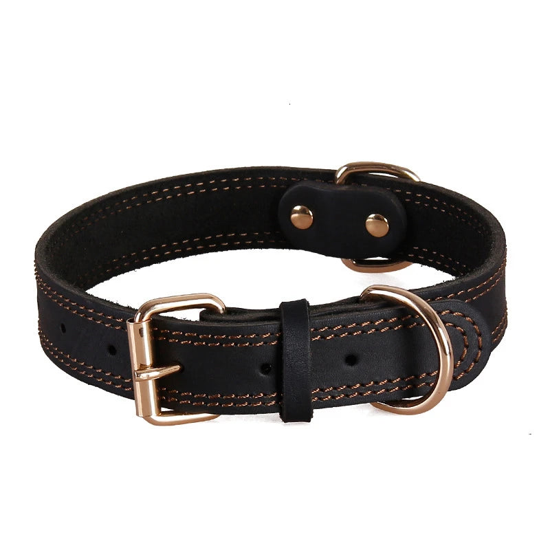 Rex, collier classique pour chien en cuir véritable de belle qualité, robuste traité antirouille
