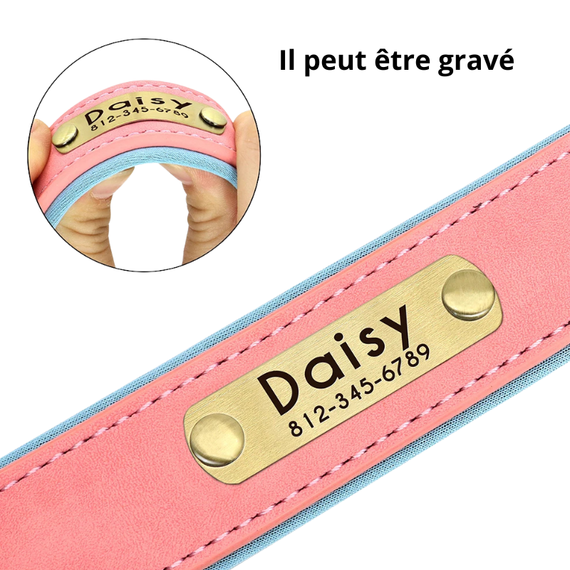 Penny, collier en cuir PU rembourré , doublé du tissu souple, personnalisé avec la plaque d'identification pour chien de petite et moyenne taille.