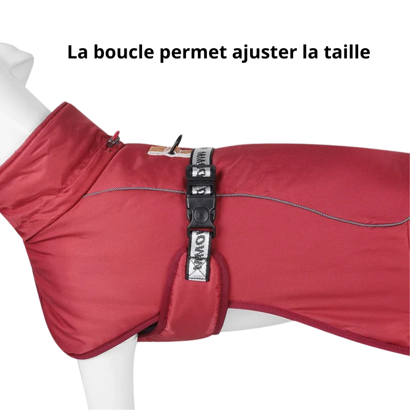 Harmonie, veste d'hiver chaude et coupe vent réflléchissant pour moyen et grand chien