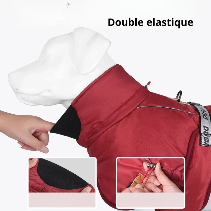 Harmonie, veste d'hiver chaude et coupe vent réflléchissant pour moyen et grand chien
