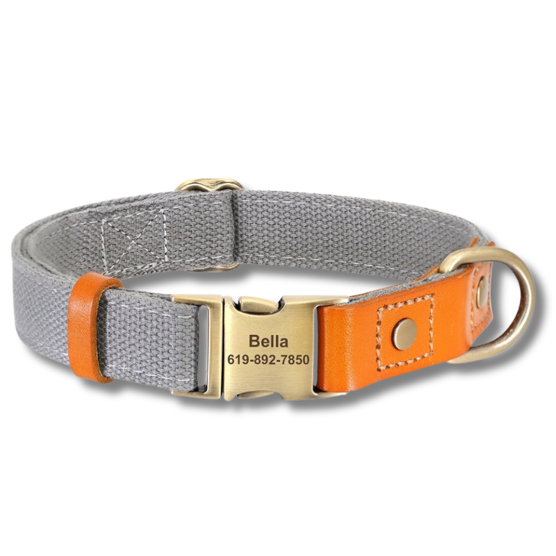 Oscar, collier en cuir et nylon avec la plaque personnalisable. Nous gravons le nom et le numéro de téléphone pour vous.