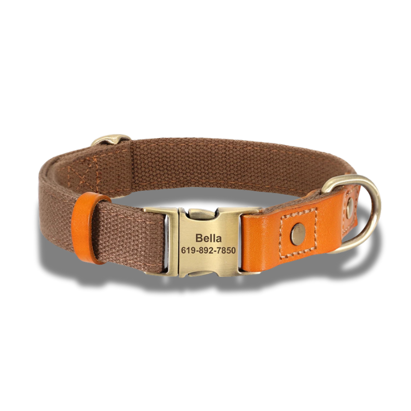 Oscar, collier en cuir et nylon avec la plaque personnalisable. Nous gravons le nom et le numéro de téléphone pour vous.