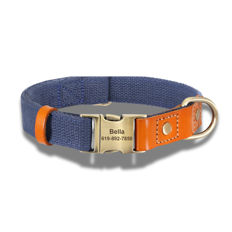 Oscar, collier en cuir et nylon avec la plaque personnalisable. Nous gravons le nom et le numéro de téléphone pour vous.