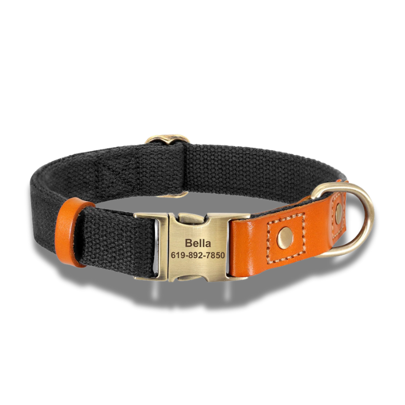 Oscar, collier en cuir et nylon avec la plaque personnalisable. Nous gravons le nom et le numéro de téléphone pour vous.