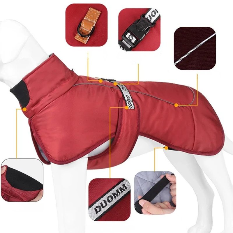 Harmonie, veste d'hiver chaude et coupe vent réflléchissant pour moyen et grand chien