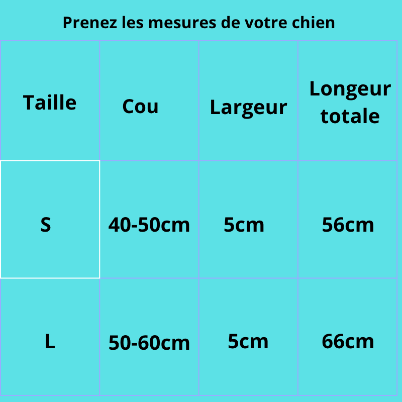 Cesar II, magnifique collier en cuir pour chiens moyens et grands. Largeur du collier 5cm, finitions : boucle trous, décorations en métal.