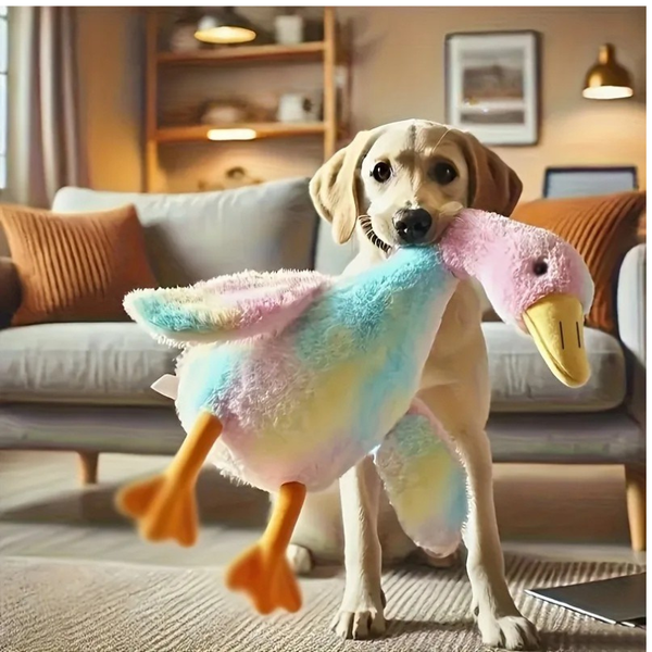 Peluche canard douce de 50cm pour chiens :  détendez votre chien en lui offrant cette belle peluche facile à attraper par le cou.