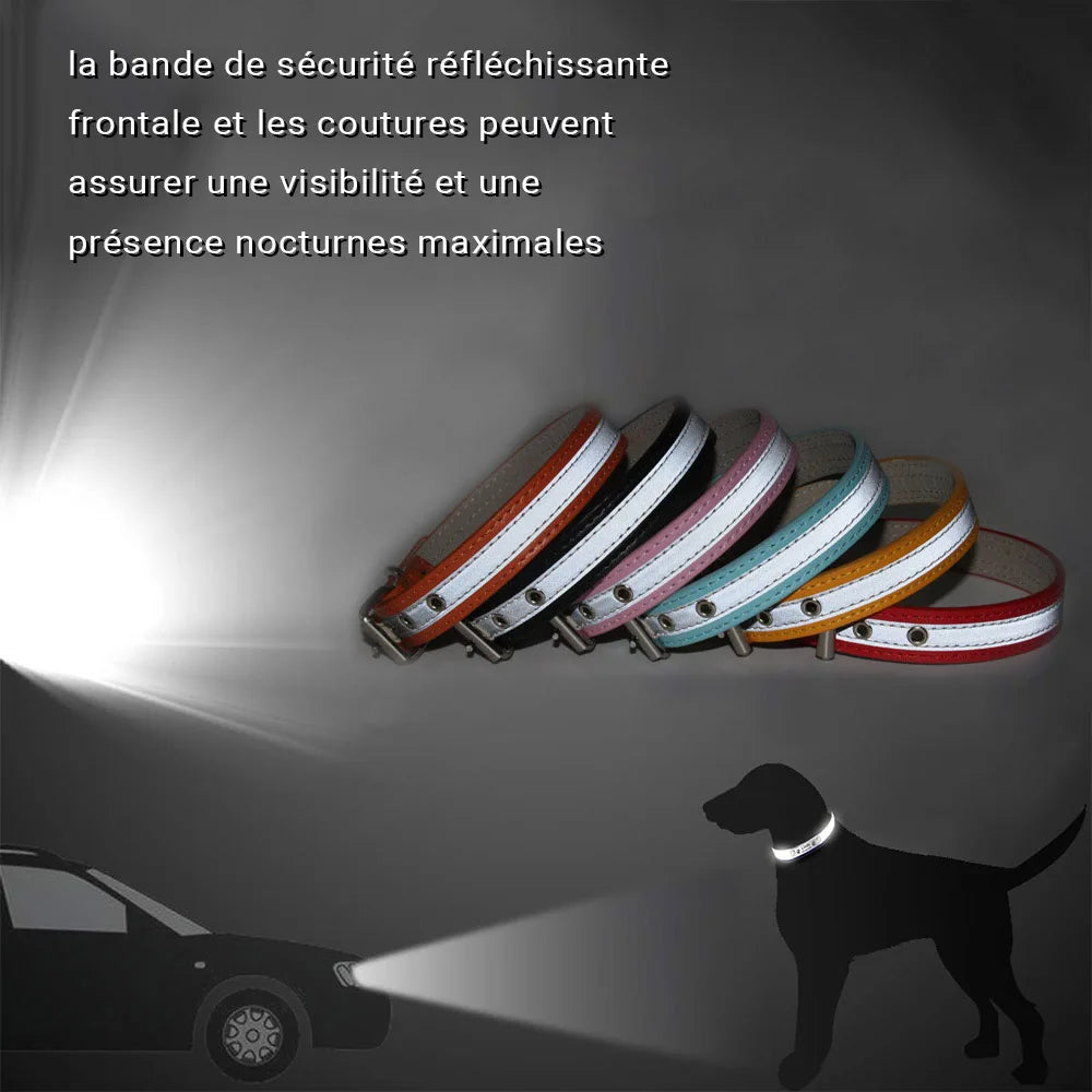 Saphir, collier en cuir avec une bande réfléchissante. Pour petits, moyens et grands chiens. Existe en plusieurs couleurs.