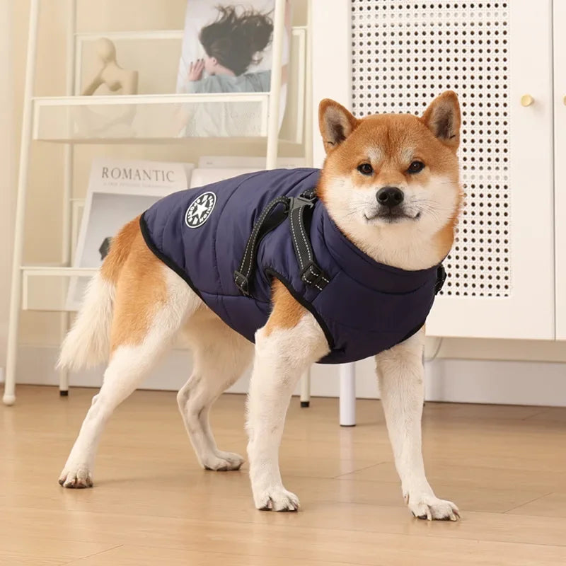 Mia, veste pour chien chaude pour l'hiver en quatre couleurs.