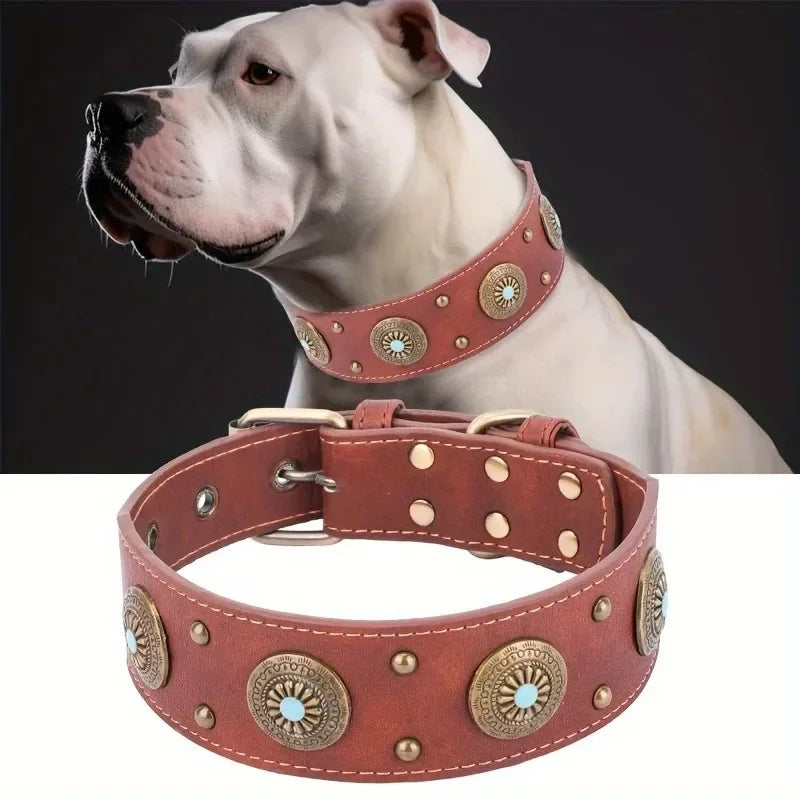 Cesar II, magnifique collier en cuir pour chiens moyens et grands. Largeur du collier 5cm, finitions : boucle trous, décorations en métal.