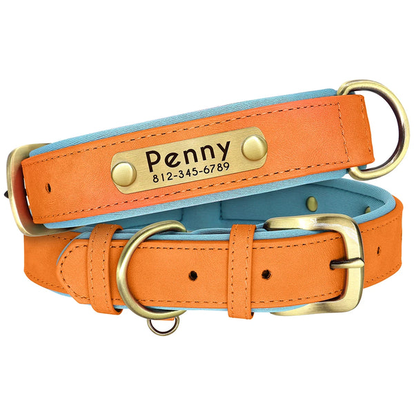 Penny, collier en cuir PU rembourré , doublé du tissu souple, personnalisé avec la plaque d'identification pour chien de petite et moyenne taille.