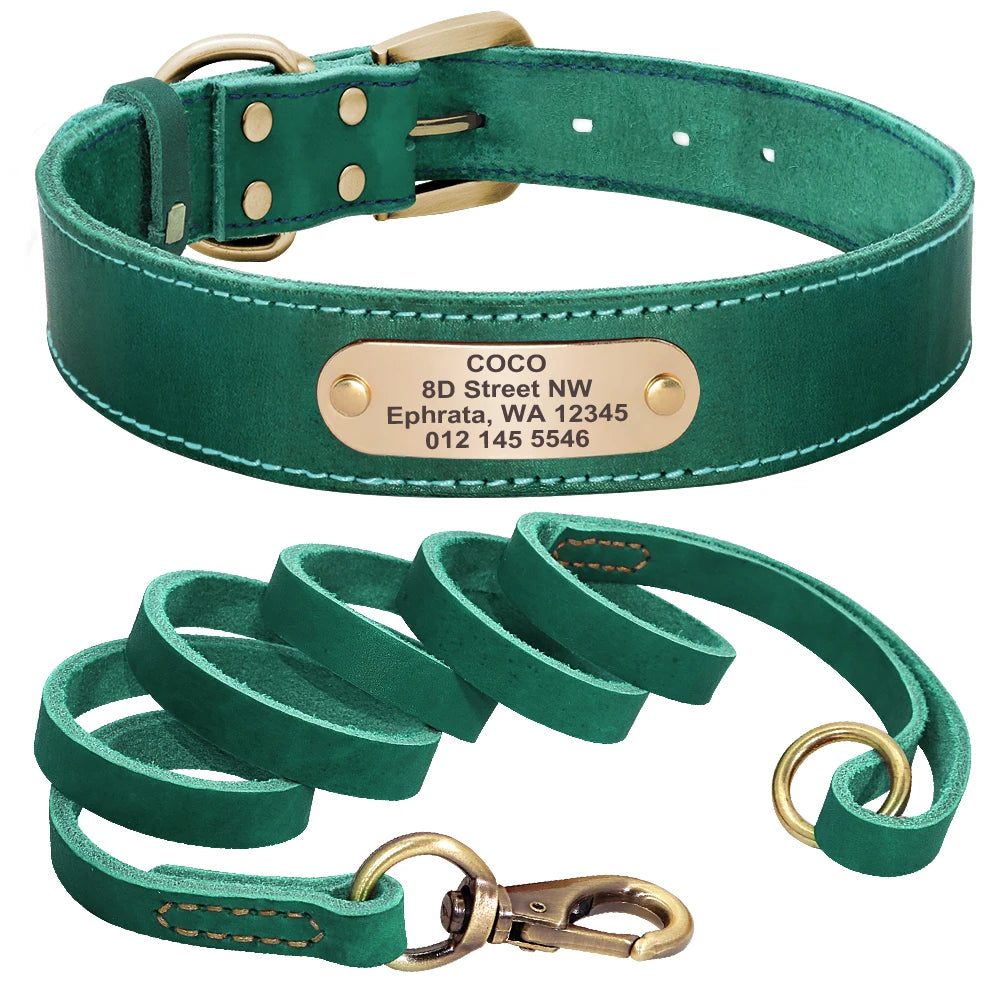 Baron, collier et laisse en cuir véritable, pour chien de petite, moyenne et grande taille, avec une plaque personnalisable