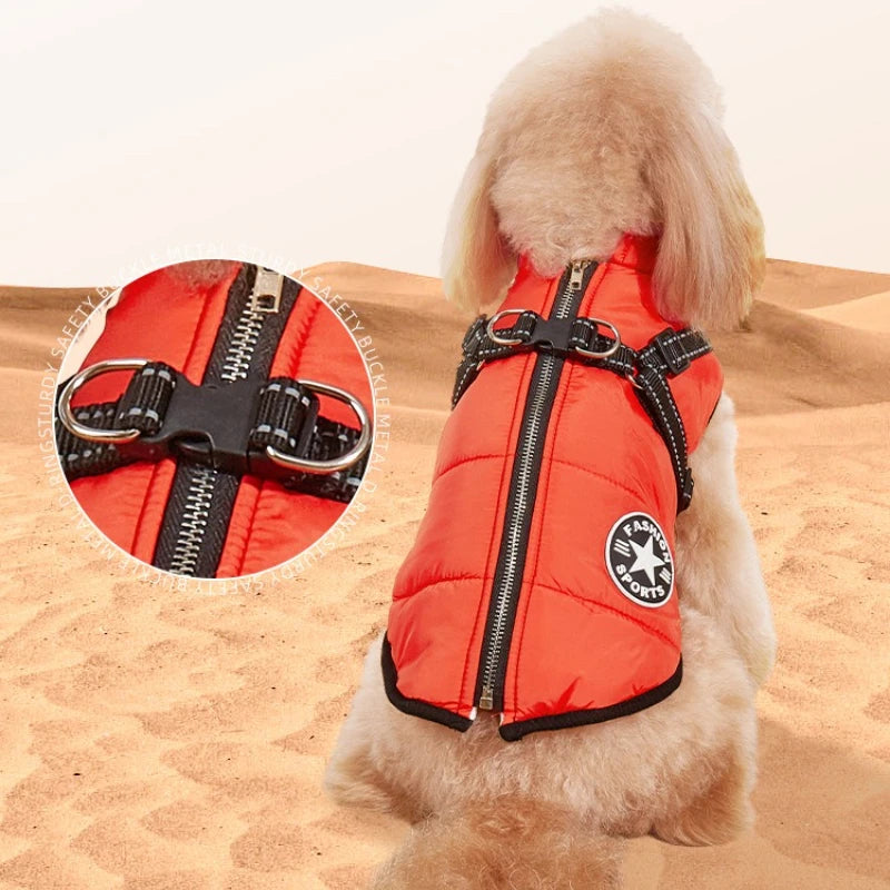 Mia, veste pour chien chaude pour l'hiver en quatre couleurs.