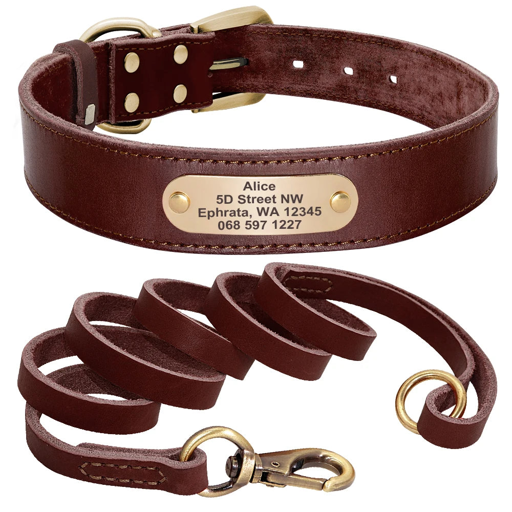 Baron, collier et laisse en cuir véritable, pour chien de petite, moyenne et grande taille, avec une plaque personnalisable