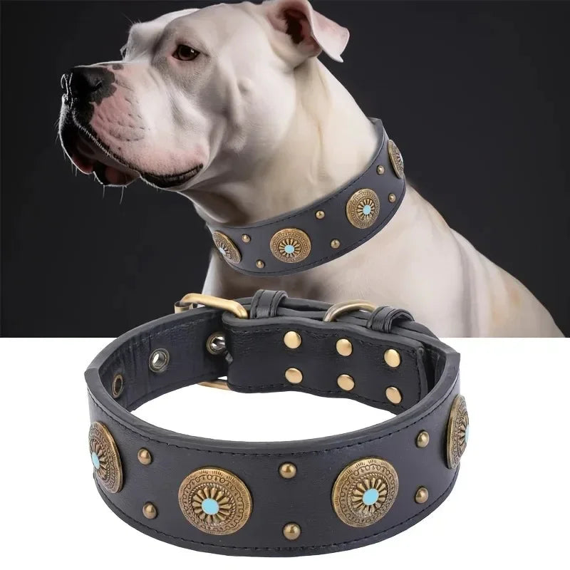 Cesar II, magnifique collier en cuir pour chiens moyens et grands. Largeur du collier 5cm, finitions : boucle trous, décorations en métal.