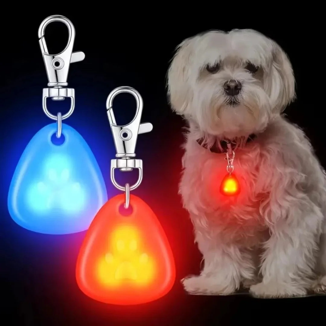 Pendentif lumineux LED, pour chien, étanche, idéal pour les promenades. Visible a 800m.