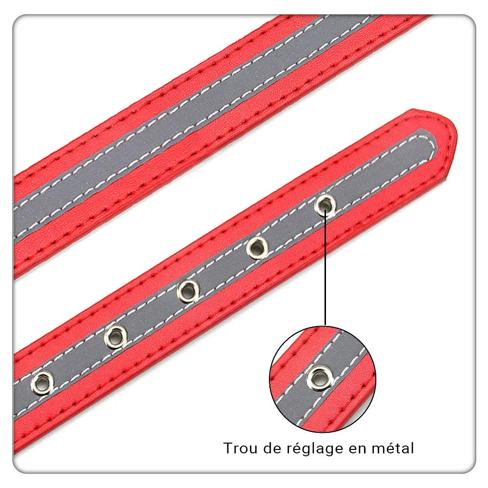 Saphir, collier en cuir avec une bande réfléchissante. Pour petits, moyens et grands chiens. Existe en plusieurs couleurs.