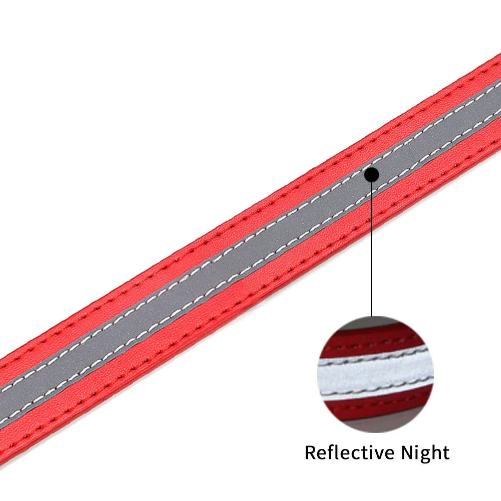 Saphir, collier en cuir avec une bande réfléchissante. Pour petits, moyens et grands chiens. Existe en plusieurs couleurs.