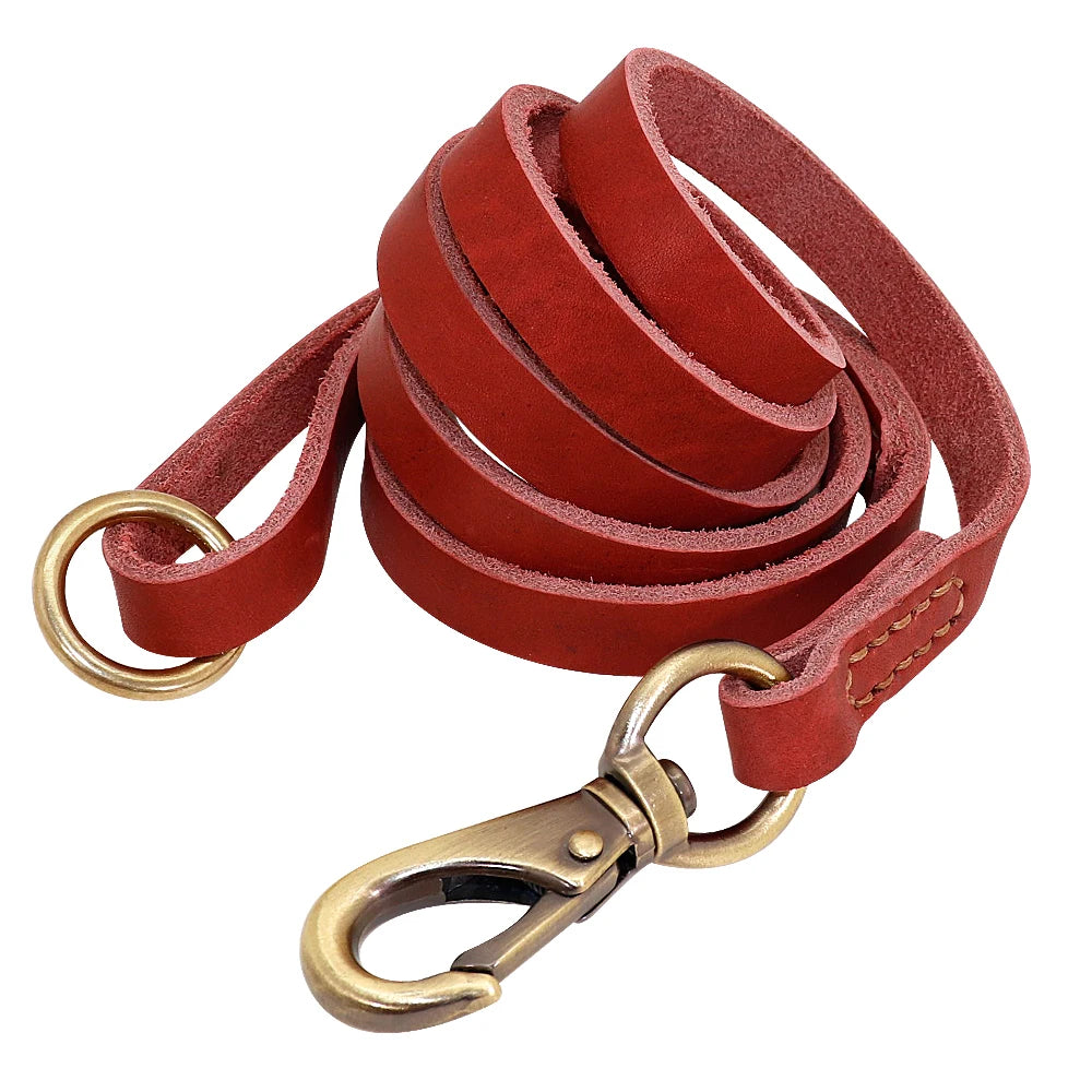 Baron, collier et laisse en cuir véritable, pour chien de petite, moyenne et grande taille, avec une plaque personnalisable