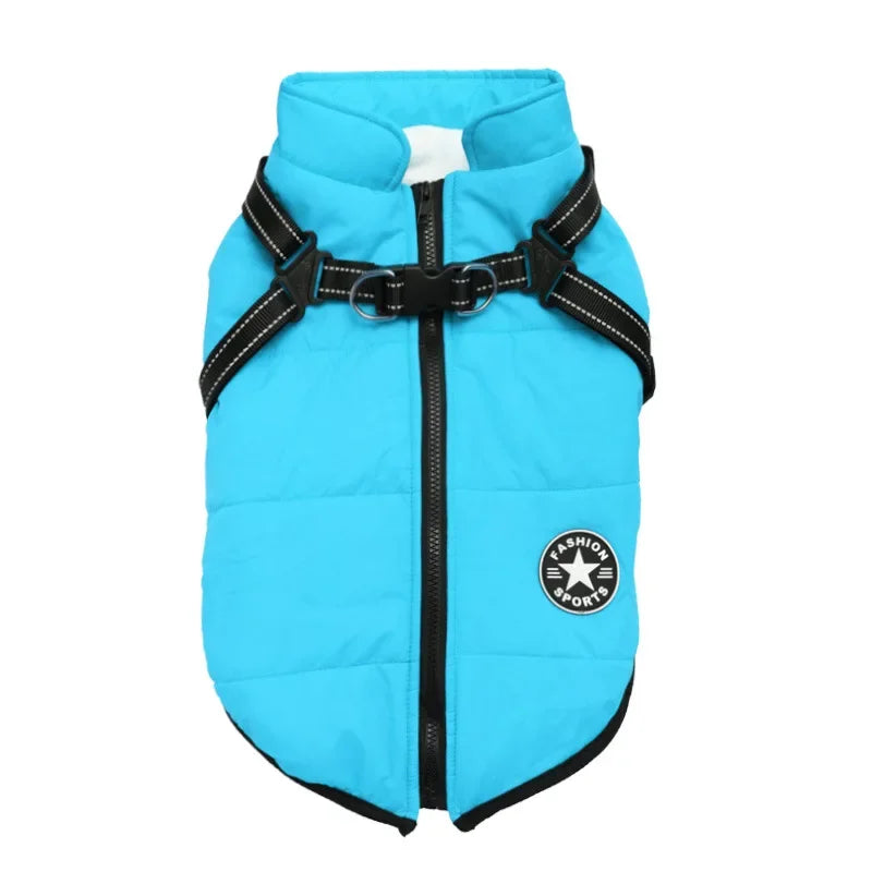 Mia, veste pour chien chaude pour l'hiver en quatre couleurs.