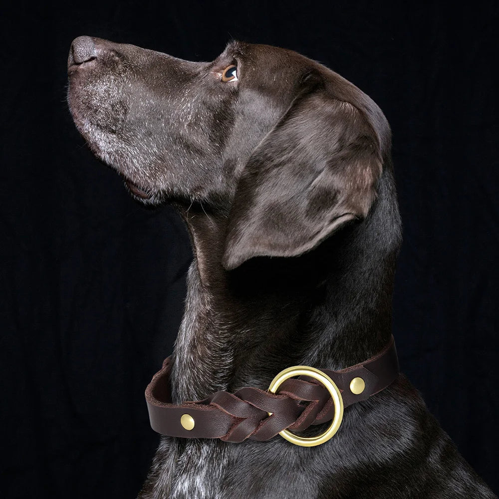 Hetman, ensemble collier et laisse(1m50) en cuir véritable tressé et résistant pour chiens de taille moyenne et grande. Disponible en marron et noir.