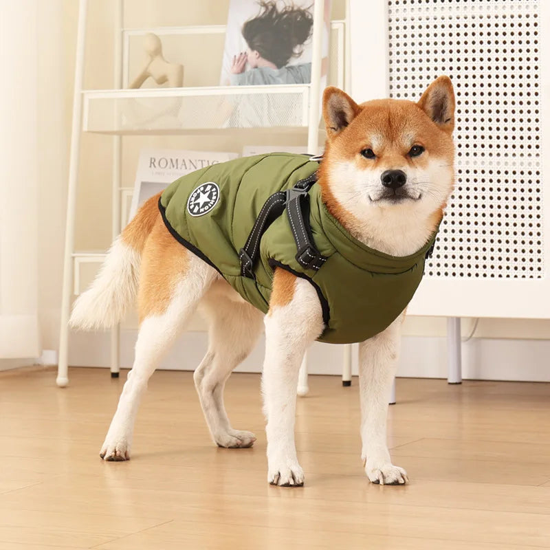 Mia, veste pour chien chaude pour l'hiver en quatre couleurs.