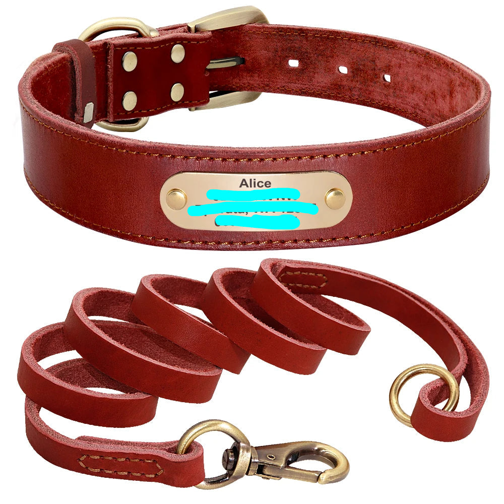 Baron, collier et laisse en cuir véritable, pour chien de petite, moyenne et grande taille, avec une plaque personnalisable