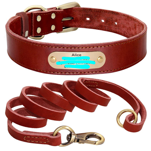 Baron, collier et laisse en cuir véritable, pour chien de petite, moyenne et grande taille, avec une plaque personnalisable