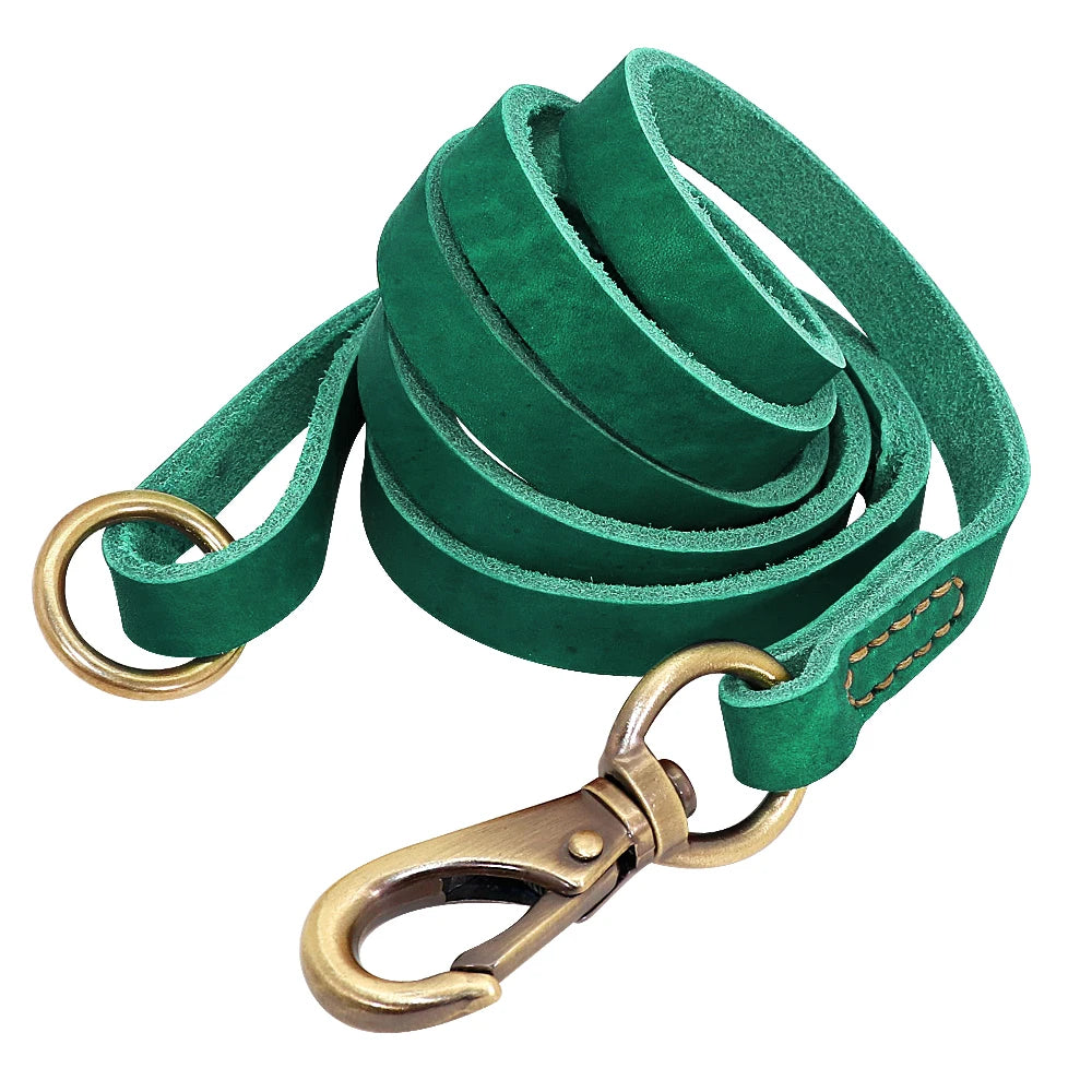 Baron, collier et laisse en cuir véritable, pour chien de petite, moyenne et grande taille, avec une plaque personnalisable