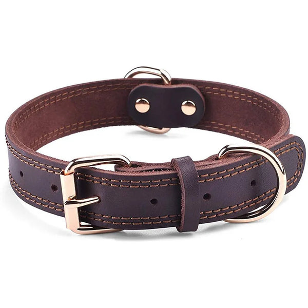Rex, collier classique pour chien en cuir véritable de belle qualité, robuste traité antirouille